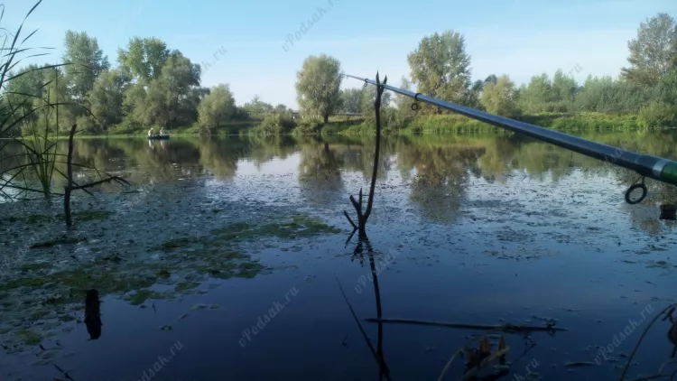 Отчёт о рыбалке Отчёт о рыбалке Самарская область Новокуйбышевск Река Татьянка Летняя рыбалка Ловля на болонское удилище, Ловля на донку