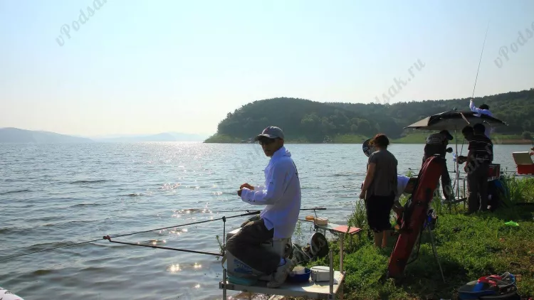 Отчёт о рыбалке 