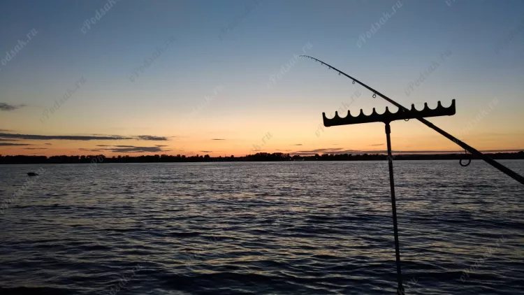 Отчёт о рыбалке Отчёт о рыбалке Самарская область Самара Река Волга Летняя рыбалка Ловля на фидер