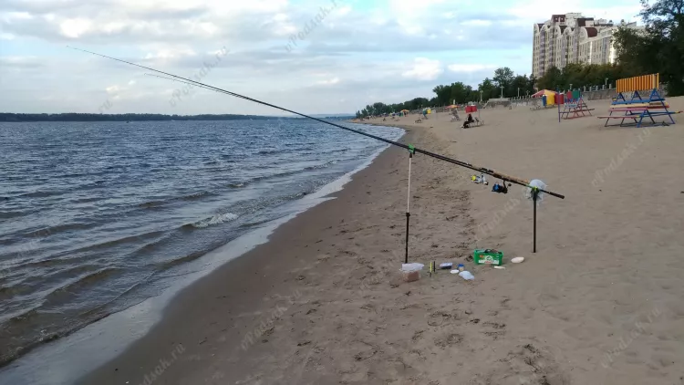 Фидерная рыбалка в городе на пляже