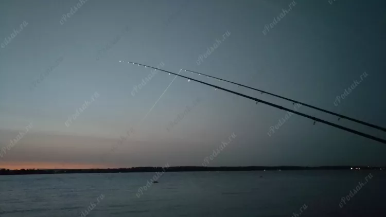 Крайняя рыбалка на фидер в этом году