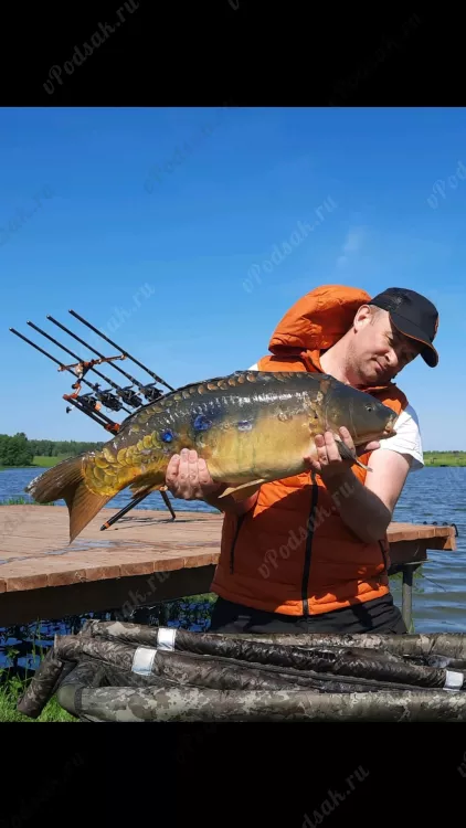 Трофейная карповая рыбалка на рыболовной базе отдыха Львово
