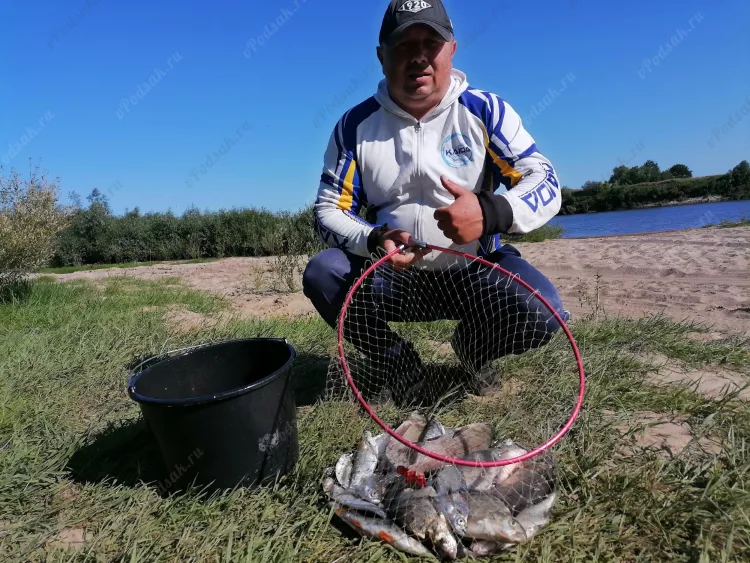 Отчёт о рыбалке Отчёт о рыбалке Рязанская область Рязань Река Ока Летняя рыбалка Ловля на фидер