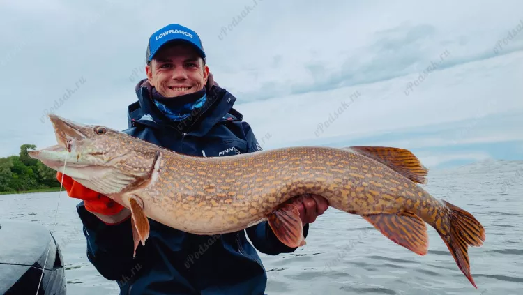 Отчёт о рыбалке Отчёт о рыбалке Самарская область Самара Река Волга Летняя рыбалка Ловля на спиннинг