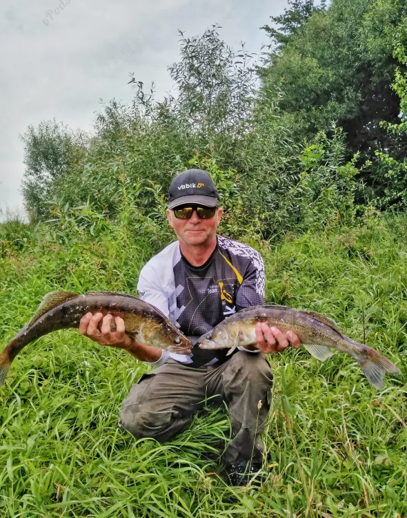 Отчёт о рыбалке Отчёт о рыбалке Витебская область Витебск Река Западная Двина Летняя рыбалка Ловля на фидер