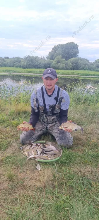 Отчёт о рыбалке Отчёт о рыбалке Минская область Березино Река Березина Летняя рыбалка Ловля на фидер