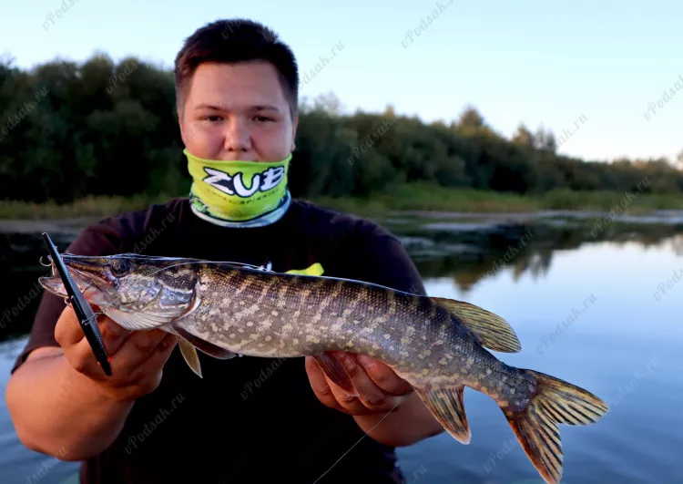 Отчёт о рыбалке Отчёт о рыбалке Рязанская область Касимов Река Ока Рыбалка осенью Ловля на спиннинг