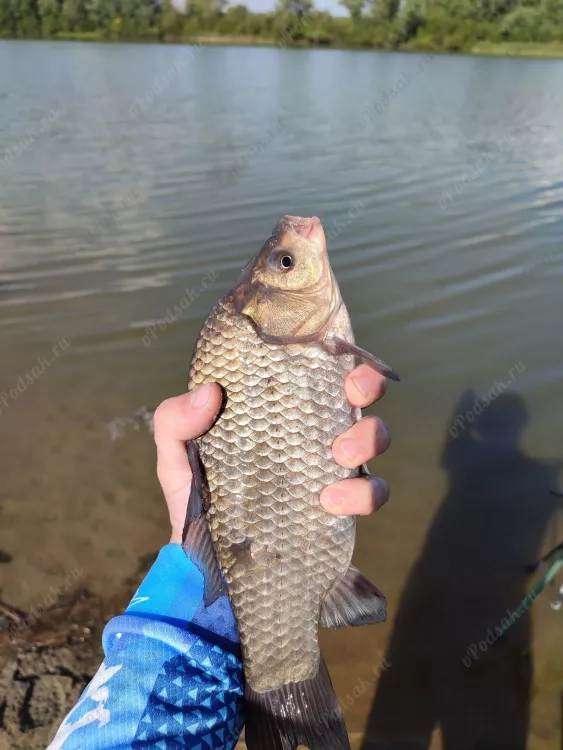 Рыбалка на озере Спартак город Новосибирск