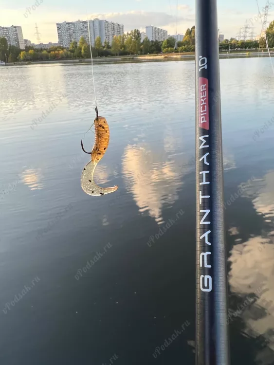 Рыбалка в Братеево на Москва реке