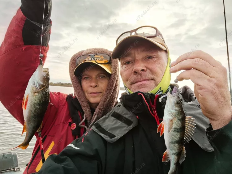 Отчёт о рыбалке Отчёт о рыбалке Псковская область Псков Река Великая Рыбалка осенью Ловля на спиннинг