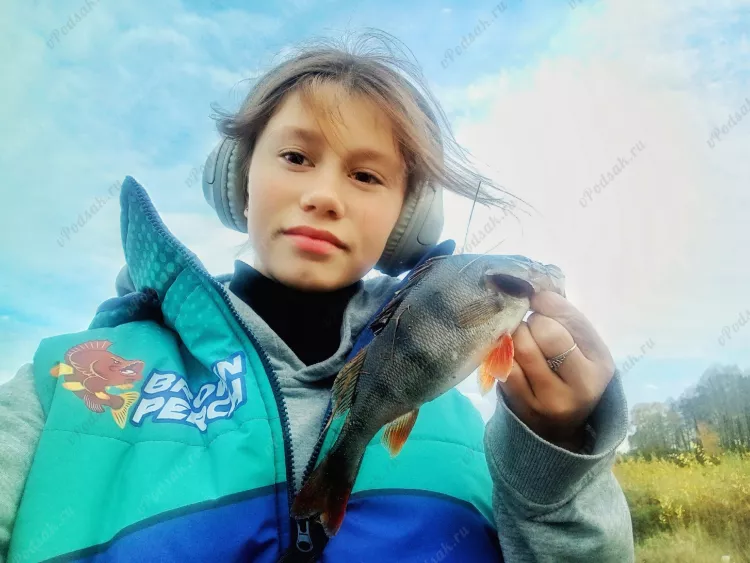 Отчёт о рыбалке Отчёт о рыбалке Минская область Солигорск Река Случь Рыбалка осенью Ловля на спиннинг