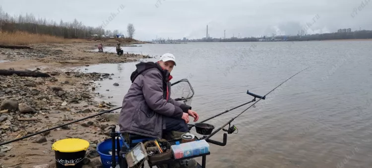 Отчёт о рыбалке Отчёт о рыбалке Вологодская область Шексна Река Шексна Рыбалка осенью Ловля на фидер