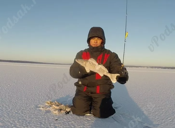 Отчёт о рыбалке Отчёт о рыбалке Самарская область Самара Река Волга Зимняя рыбалка Ловля зимней удочкой