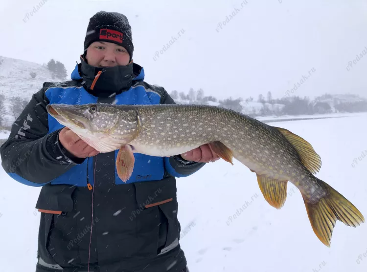 Отчёт о рыбалке Отчёт о рыбалке Рязанская область Рязань Река Ока Зимняя рыбалка Ловля зимней удочкой