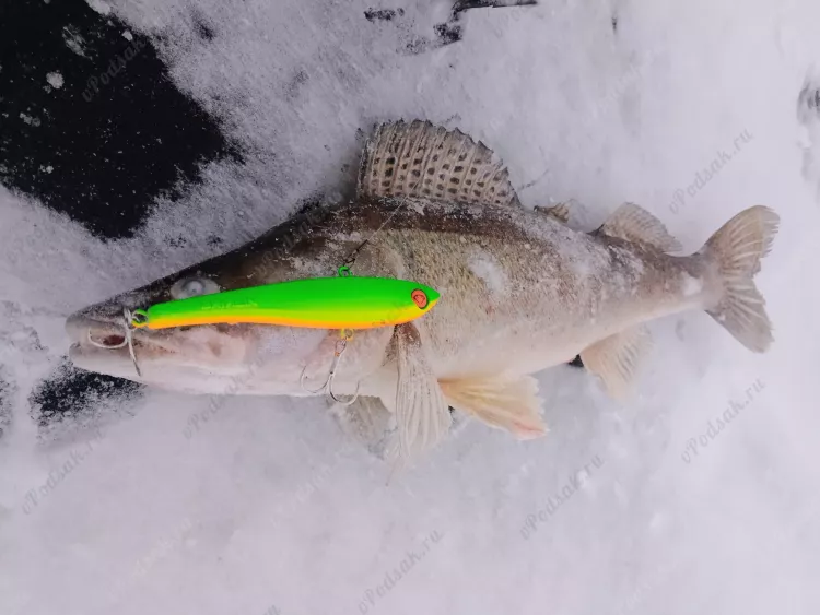 Зимняя рыбалка в Балаково - судак