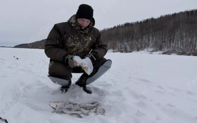 Отчёт о рыбалке Отчёт о рыбалке Нижегородская область Дзержинск Река Ока Зимняя рыбалка Ловля зимней удочкой