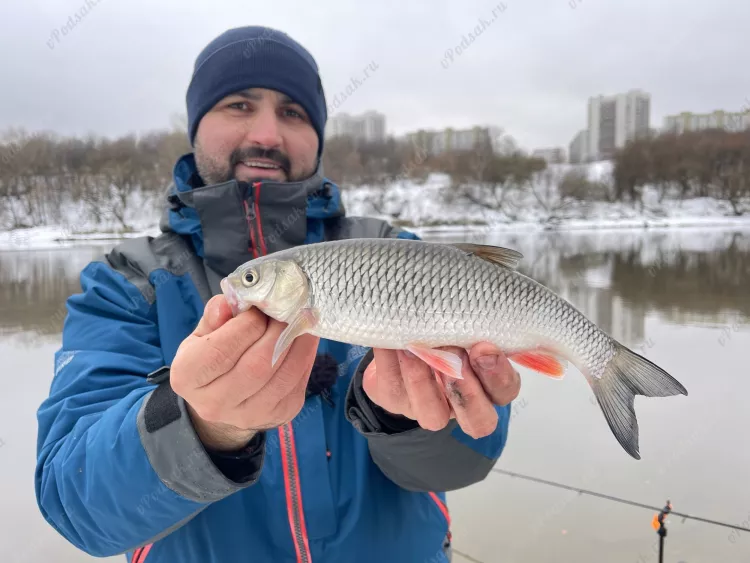 Отчёт о рыбалке Отчёт о рыбалке Москва Москва Река Незнайка Зимняя рыбалка Ловля на фидер