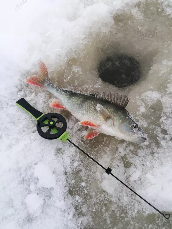 Отчёт о рыбалке Отчёт о рыбалке Кюменлааксо Хамина Озеро / Пруд Без названия Зимняя рыбалка Ловля зимней удочкой