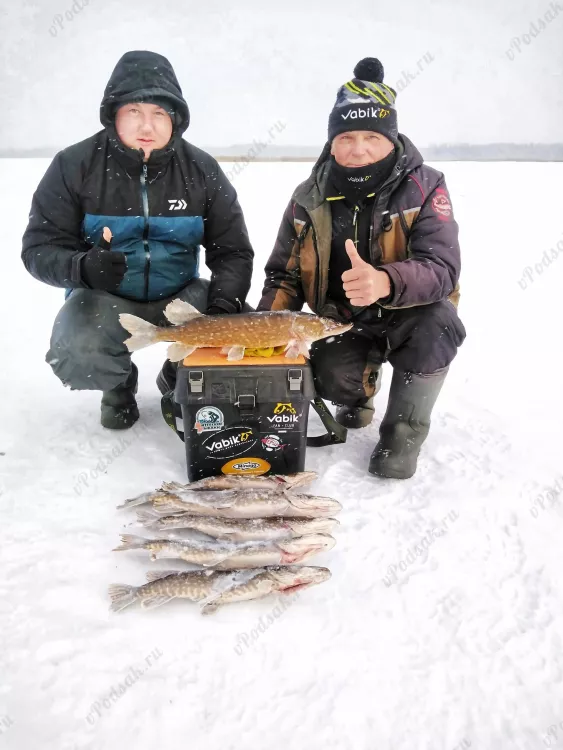 Отчёт о рыбалке Отчёт о рыбалке Витебская область Сяло Озеро / Пруд Тиосто Зимняя рыбалка Ловля на жерлицы