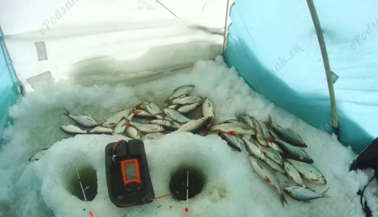 Отчёт о рыбалке Отчёт о рыбалке Пермский край Пермь Река Кама Зимняя рыбалка Ловля зимней удочкой