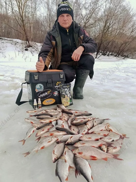 Отчёт о рыбалке Отчёт о рыбалке Витебская область Витебск Река Западная Двина Зимняя рыбалка Ловля зимней удочкой