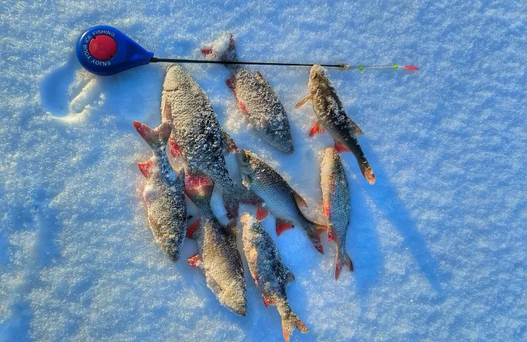 Рыбалка в Рязани - щука в глухозимье
