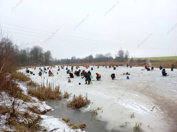 Отчёт о рыбалке Отчёт о рыбалке Гродненская область Гродно Река Неман Зимняя рыбалка Ловля зимней удочкой
