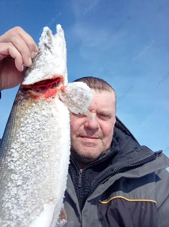 Рыбалка в Новокуйбышевске весной на Кривуше