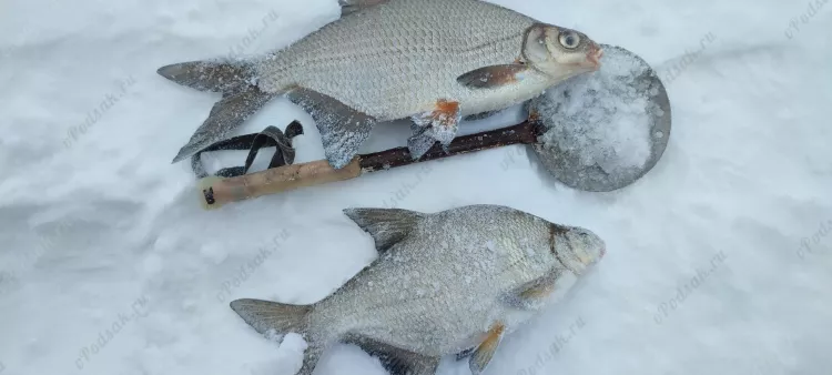 Отчёт о рыбалке Отчёт о рыбалке Самарская область Самара Река Волга Рыбалка весной Ловля зимней удочкой