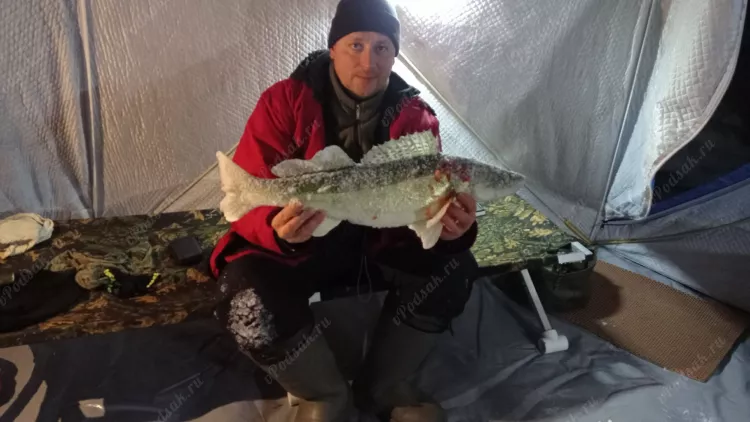 Отчёт о рыбалке Отчёт о рыбалке Самарская область Кутулукский Водохранилище Кутулукское Рыбалка весной Ловля зимней удочкой