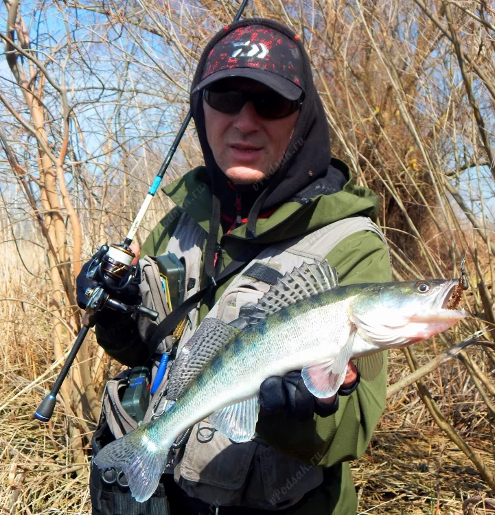 Отчёт о рыбалке Отчёт о рыбалке Ростовская область Новочеркасск Река Аксай Рыбалка весной Ловля на спиннинг