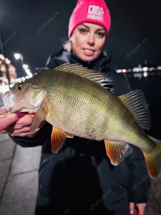 Рыбалка в Санкт-Петербурге на Неве