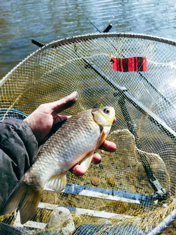 Рыбалка в Белоозерске весной 2024