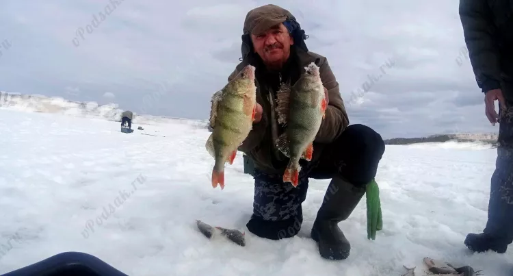 Отчёт о рыбалке Отчёт о рыбалке Пермский край Троица Река Сылва Рыбалка весной Ловля зимней удочкой