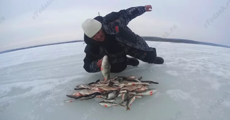 Отчёт о рыбалке Отчёт о рыбалке Пермский край Троица Река Сылва Рыбалка весной Ловля зимней удочкой