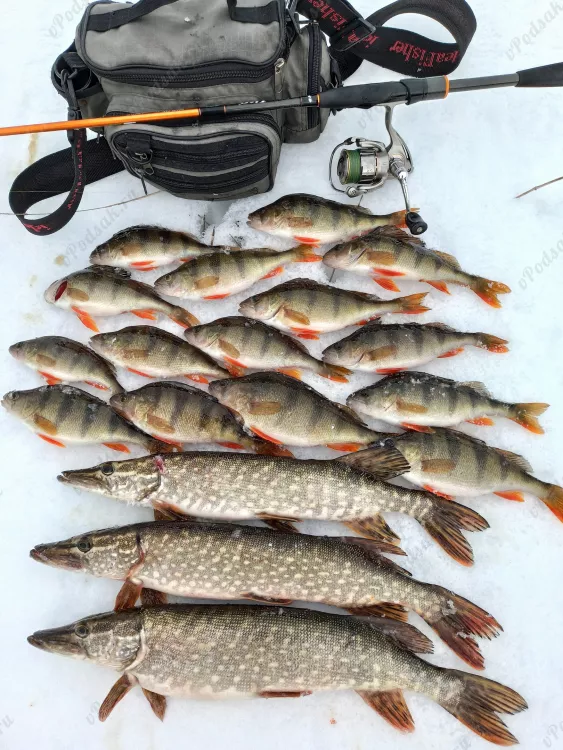 Отчёт о рыбалке Отчёт о рыбалке Нижегородская область Арзамас Река Без названия Рыбалка весной Ловля на спиннинг