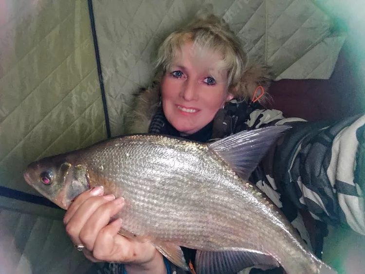 Отчёт о рыбалке Отчёт о рыбалке Курская область Копенки Водохранилище Копёнское Рыбалка весной Ловля зимней удочкой