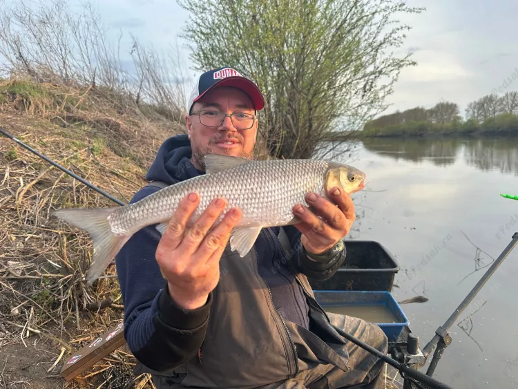Отчёт о рыбалке Отчёт о рыбалке Липецкая область Лебедянь Река Дон Рыбалка весной Ловля на фидер