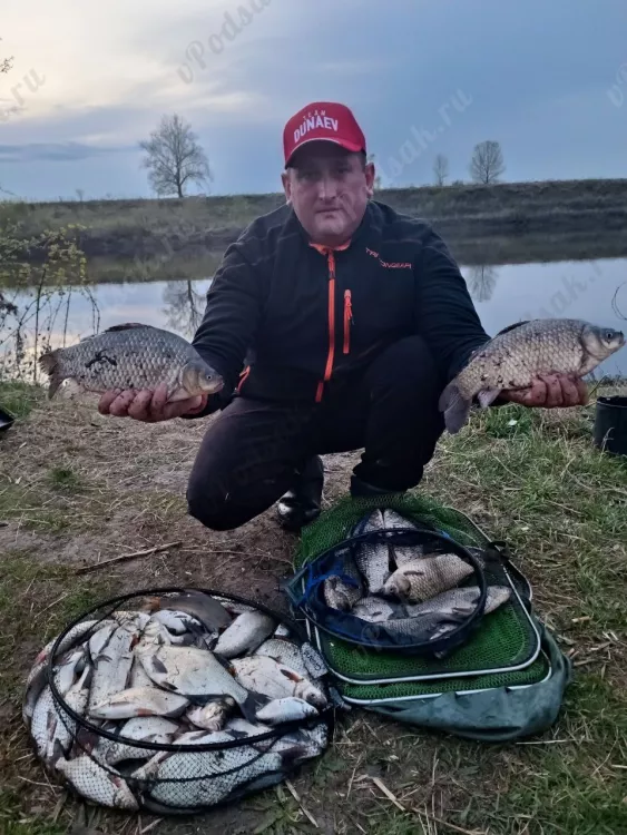 Отчёт о рыбалке Отчёт о рыбалке Липецкая область Лебедянь Река Дон Рыбалка весной Ловля на фидер