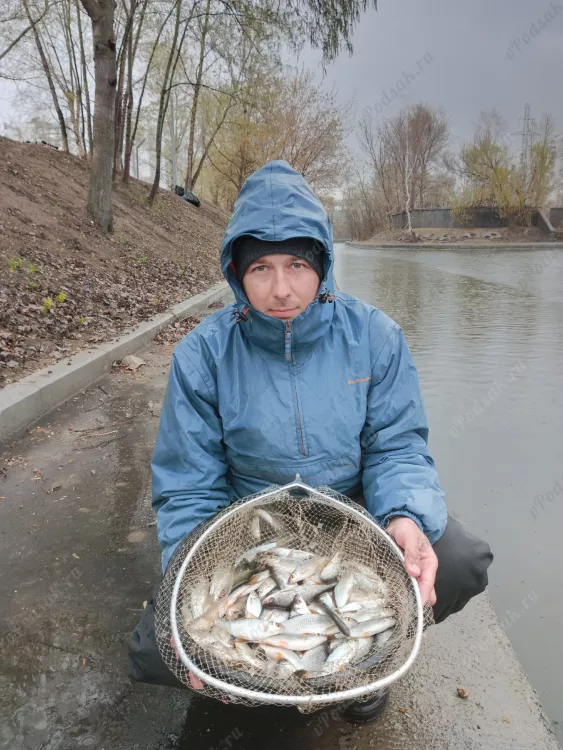 Отчёт о рыбалке Отчёт о рыбалке Москва Москва Озеро / Пруд Без названия Рыбалка весной Ловля маховым удилищем