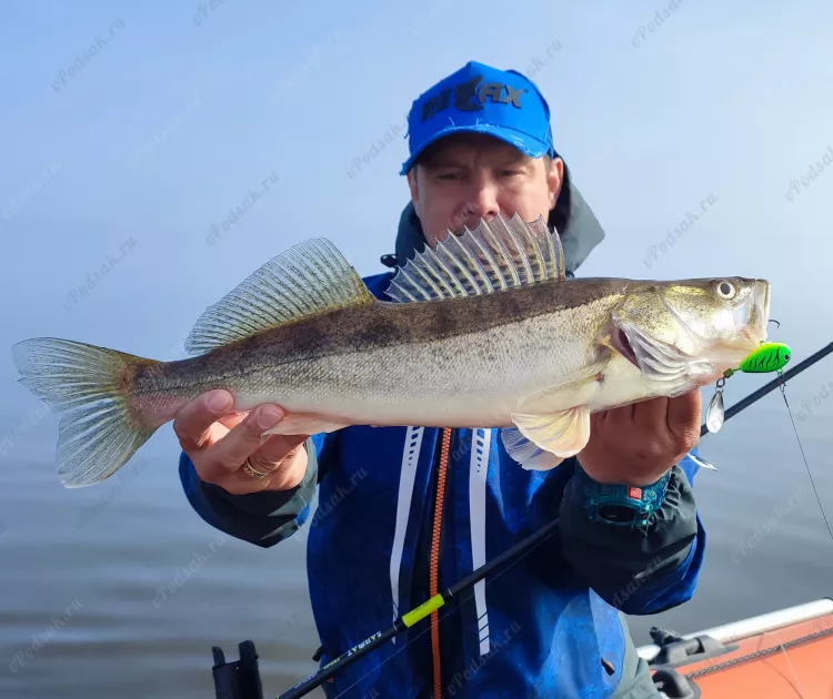 Отчёт о рыбалке Отчёт о рыбалке Самарская область Тольятти Река Волга Рыбалка весной Ловля на спиннинг